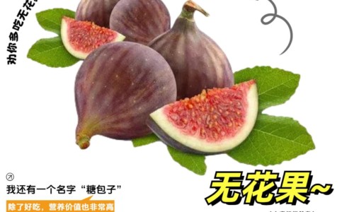 浙科院好不好考研、浙江中科院最厉害三个专业 -浙科院好不好网
