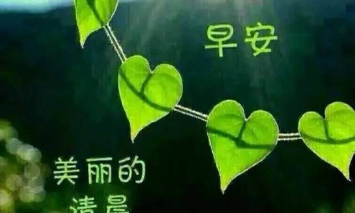 浙科院好不好考研、浙江中科院最厉害三个专业 -浙科院好不好网