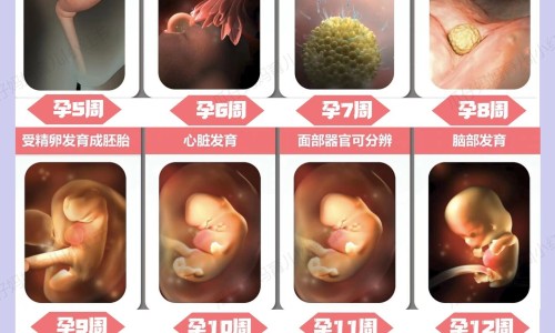 浙江科技大学有院士吗-浙科院好不好考研、浙江中科院最厉害三个专业 -浙科院好不好网